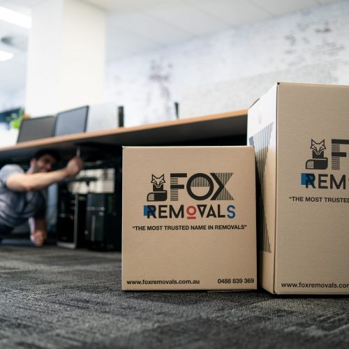 Fox_Office-41 Fox_Office-41