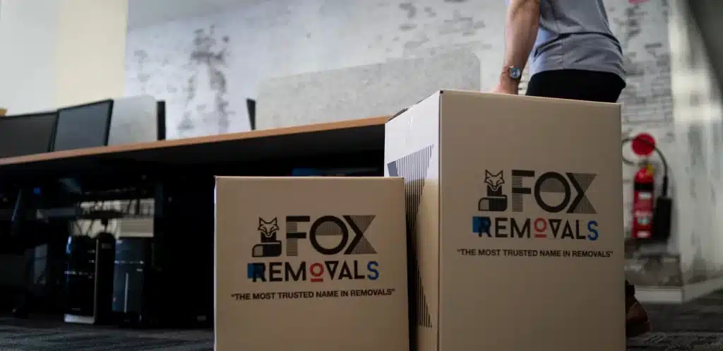 fox removal packing boxes in an office
